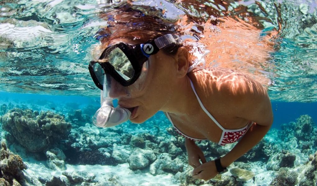 Creolo Tour Snorkeling 6